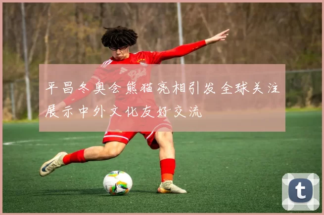 平昌冬奥会熊猫亮相引发全球关注展示中外文化友好交流