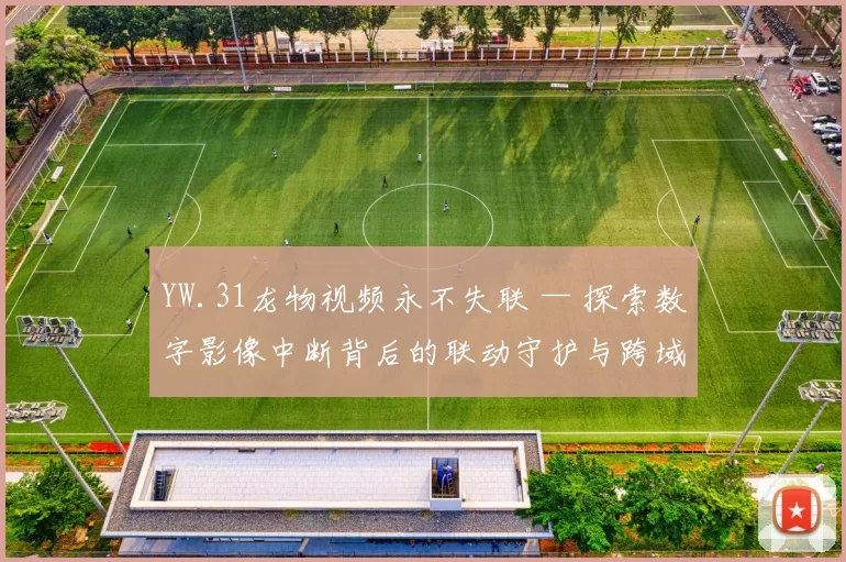 YW.31龙物视频永不失联 — 探索数字影像中断背后的联动守护与跨域传输