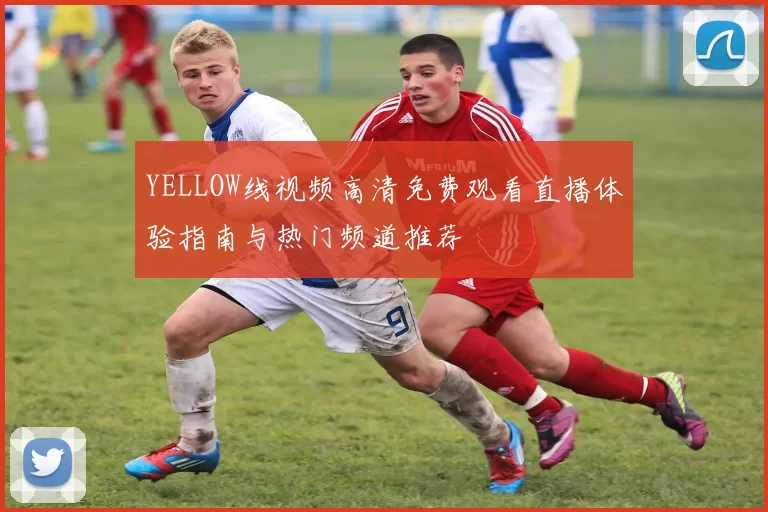 YELLOW线视频高清免费观看直播体验指南与热门频道推荐