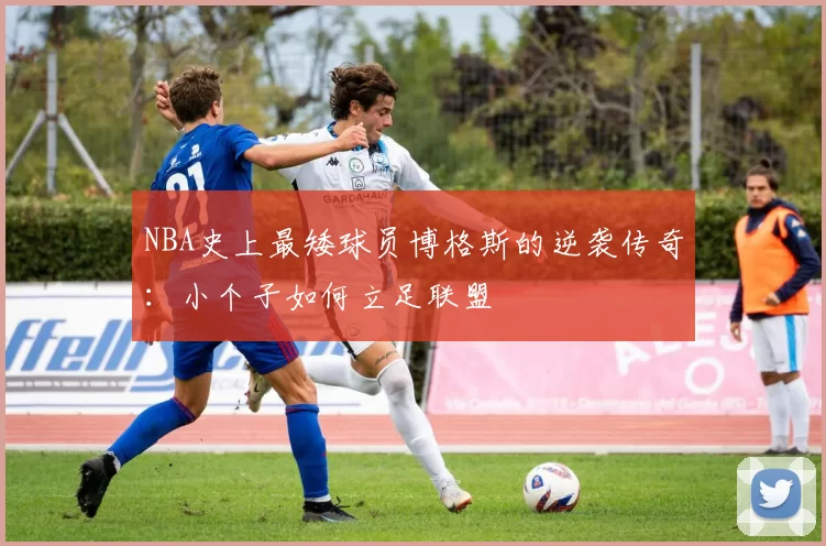 NBA史上最矮球员博格斯的逆袭传奇:小个子如何立足联盟